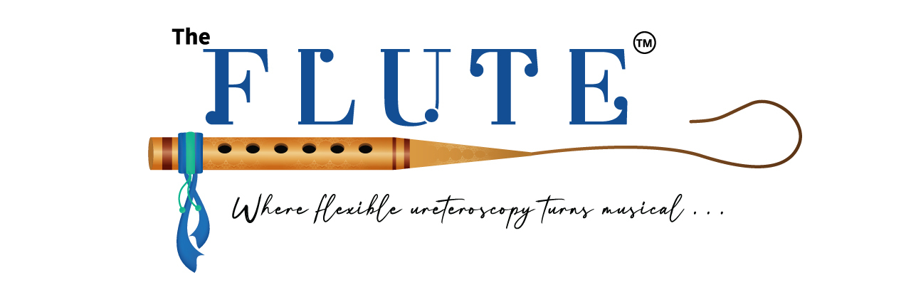 visitingfaculty_banner